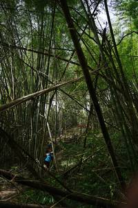 BIB: 
                            <button type="button" onclick="openModal(22241985)" class="btn btn-primary btn-sm float-right btn-popup" data-toggle="modal" data-target=".modal-high-quality">
                        <i class="fas fa-shopping-cart"></i> Add to Cart
                    </button>
                                            <button type="button" onclick="isThisMe(22241985, true)" class="btn btn-success btn-sm float-right btn-popup btn-isme hidden" data-toggle="tooltip" data-placement="bottom" title="นี่คือรูปของคุณใช่ไหม คลิกที่นี่เพื่อเอาเข้าอัลบั้ม">
                        <i class="fas fa-plus"></i> Add to album
                    </button>
                    <button type="button" onclick="isThisMe(22241985, false)" class="btn btn-warning btn-sm float-right btn-popup btn-isnotme hidden">
                        <i class="fas fa-ban"></i> Remove from album
                    </button>